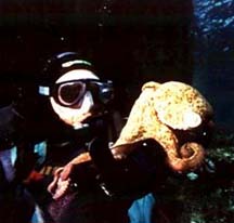 Me playing with baby Octopus